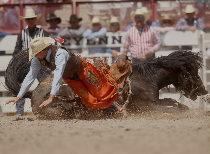 Parker Kempfer at Southeastern Saddle Bronc Rodeo