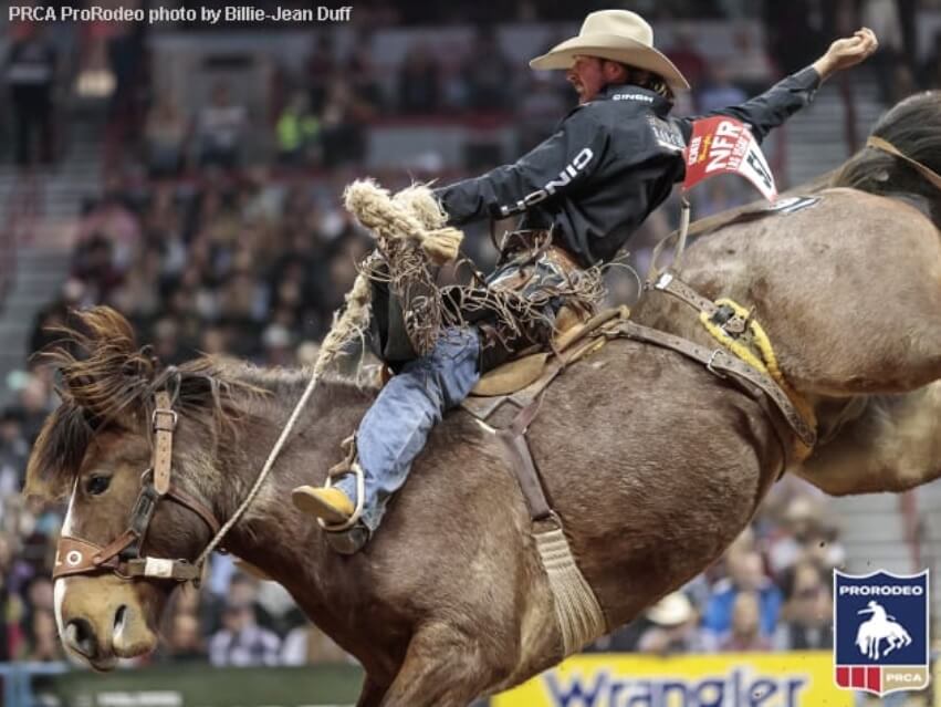 Saddle bronc rider Cort Scheer finally healthy